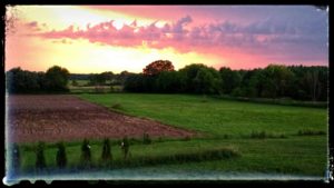 Farm Sunset