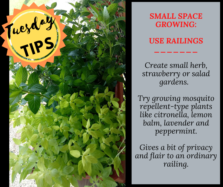 Small Space Growing: Use Railings